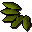 Willow seed.png: Farming casket drops Willow seed with rarity Common in quantity 3