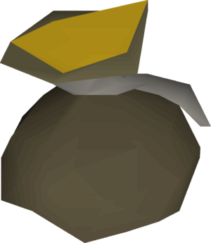 Coin pouch (rogue) detail.png