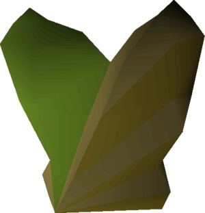 Herbalist top detail.png