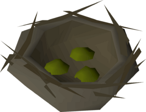 Bird nest (seeds) detail.png